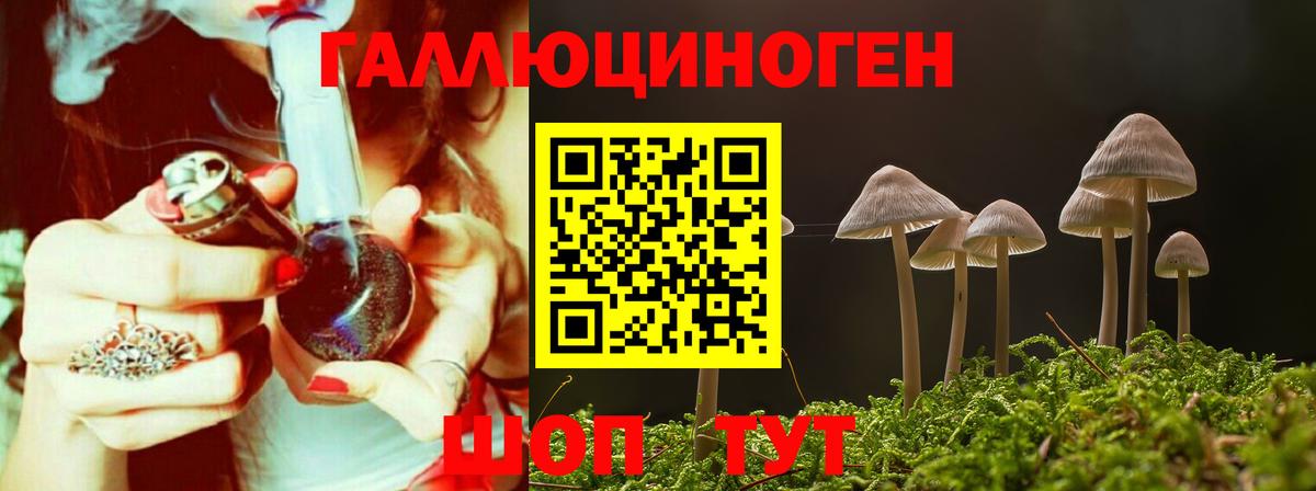 Карачаевск  Галлюциногенные грибы GOLDEN TEACHER  Псилоцибиновые грибы мицелий  Вход с VPN 